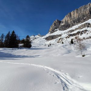 Randonnée raquettes à Chamonix